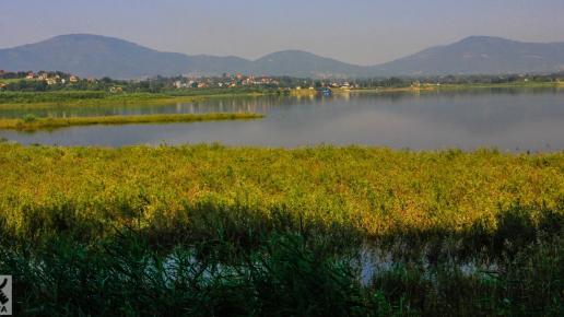 Widok na Jezioro Żywieckie i okolice ..., Fasola na Szlaku