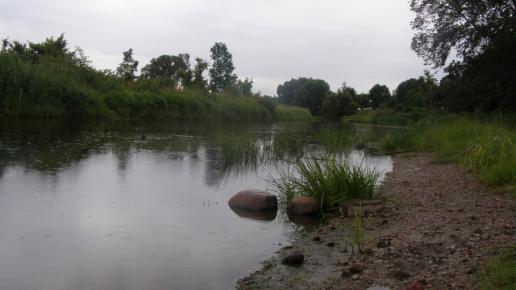 Narew w Surażu, Joanna
