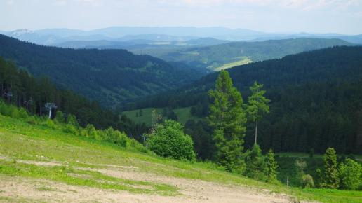 , Piotr Galas