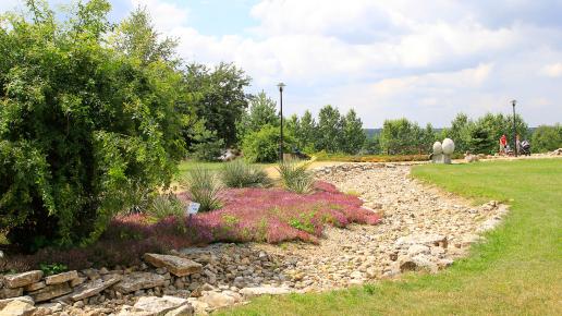 Śląski Ogród Botaniczny w Mikołowie - Ogród Żółty