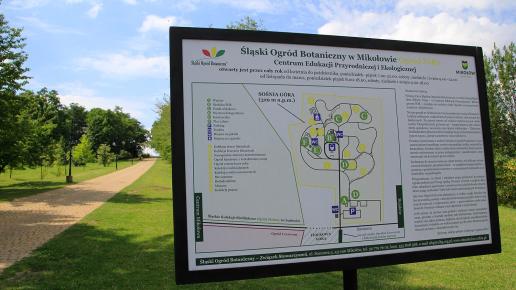 Śląski Ogród Botaniczny w Mikołowie - Ogród Żółty