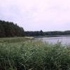 Zwierzyniec, Stawy Echo, Anja