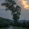 Nad Dunajcem wzdłuż ścieżki rowerowej, Fasola na Szlaku