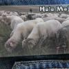 (Hala Majerz) W Pawilonie Pienińskiego Parku Nardowego ... kolejny magnes do kolekcji trzeba było kupić :), Fasola na Szlaku