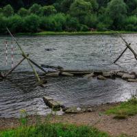Nad Dunajcem wzdłuż ścieżki rowerowej, Fasola na Szlaku