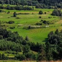 (Wdżar)Widok ze szczytu, Fasola na Szlaku
