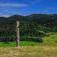 (Wdżar)Widok ze szczytu na Gorce, Fasola na Szlaku