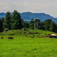 (Wdżar)Widok na Organy ...., Fasola na Szlaku