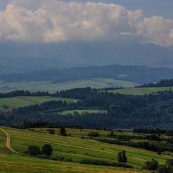 (Wdżar) Na szlaku ..., Fasola na Szlaku
