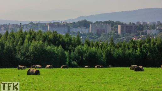 , Fasola na Szlaku