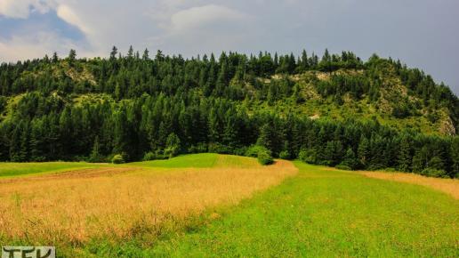 Widok na Zamczysko, Fasola na Szlaku