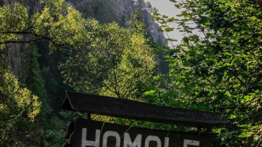 , Fasola na Szlaku