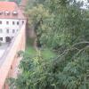 , marian