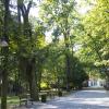 Park Staszica
