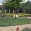 Mini ogród botaniczny - Solec, tomtur