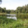widok na sąsiadów, Joanna