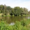 widok na sąsiadów, Joanna