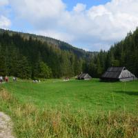 Dolina Jaworzynki, Maciej A