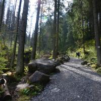 Dolina Małej Łąki, Maciej A