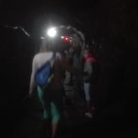 , mirosław