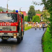 Dzień Drugi ..., Fasola na Szlaku