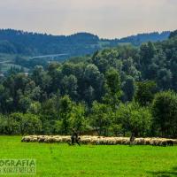 Dzień Drugi ..., Fasola na Szlaku