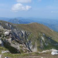 , Piotr Galas