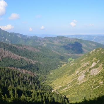 w dole Dolina Jaworzynki, Maciej A