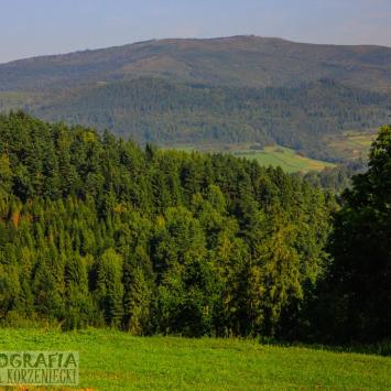 , Fasola na Szlaku