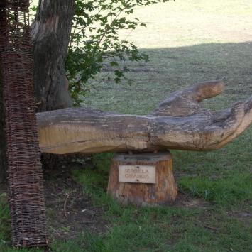 Park Zdrojowy, tomtur