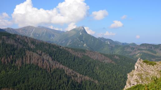 widok na Giewont i Czerwone Wierchy z Boczania, Maciej A