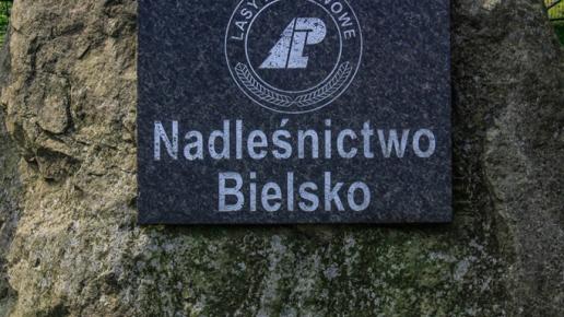 , Fasola na Szlaku