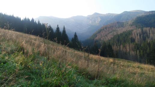 , Piotr Galas