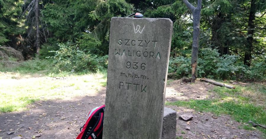 Waligóra i Wielka Sowa - zdjęcie