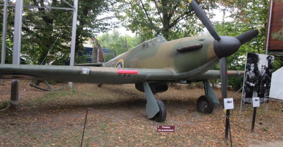 Puszczykowo-Muzeum Arkadego Fiedlera - zdjęcie