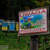 uważaj bo cię bzyknie :), Fasola na Szlaku