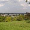 widok z Góry Chełmskiej, Joanna