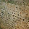 na ścianie Małej Synagogi, Joanna