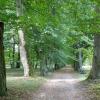Romanów - park dworski, Joanna