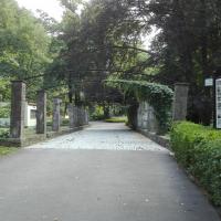 , mirosław