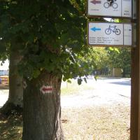 szlaki przy Muzeum PPN, Joanna