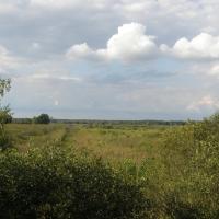 łąki Pociągi, Joanna