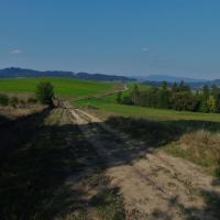 , Piotr Galas