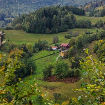 Na ścieżce rowerowej Kamesznica - Węgierska Górka, Fasola na Szlaku