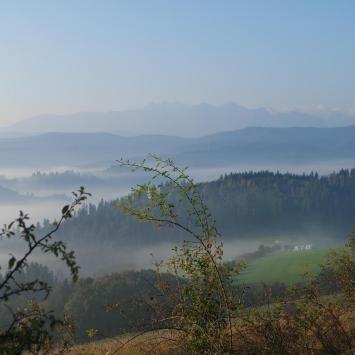 , Piotr Galas