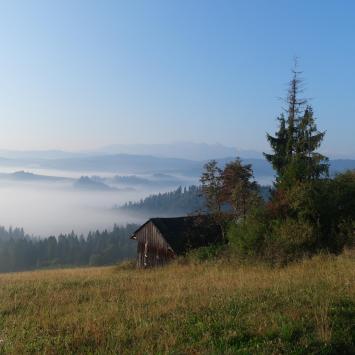 , Piotr Galas