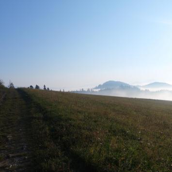 , Piotr Galas