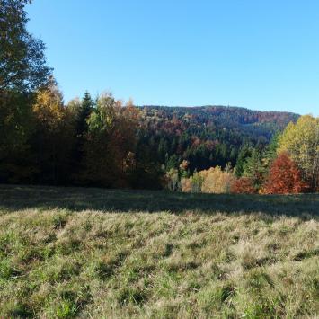 , Piotr Galas