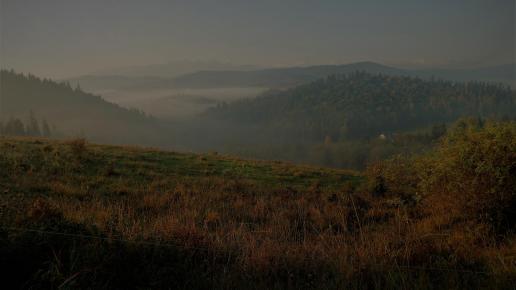 , Piotr Galas