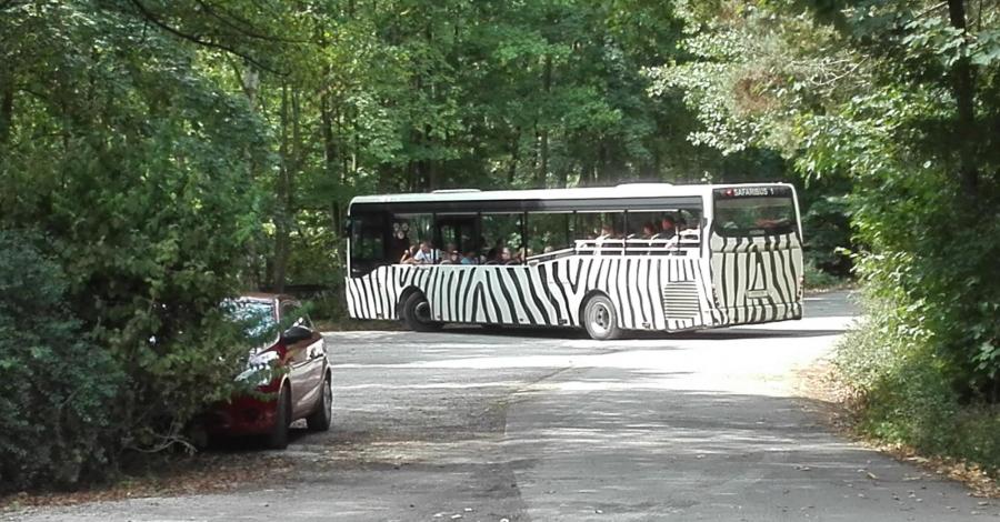 dvur kralove zoo safari-urlop 2018 - zdjęcie